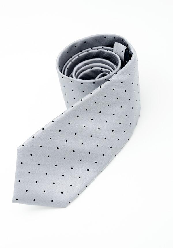 Silver Dotted Silk Tie